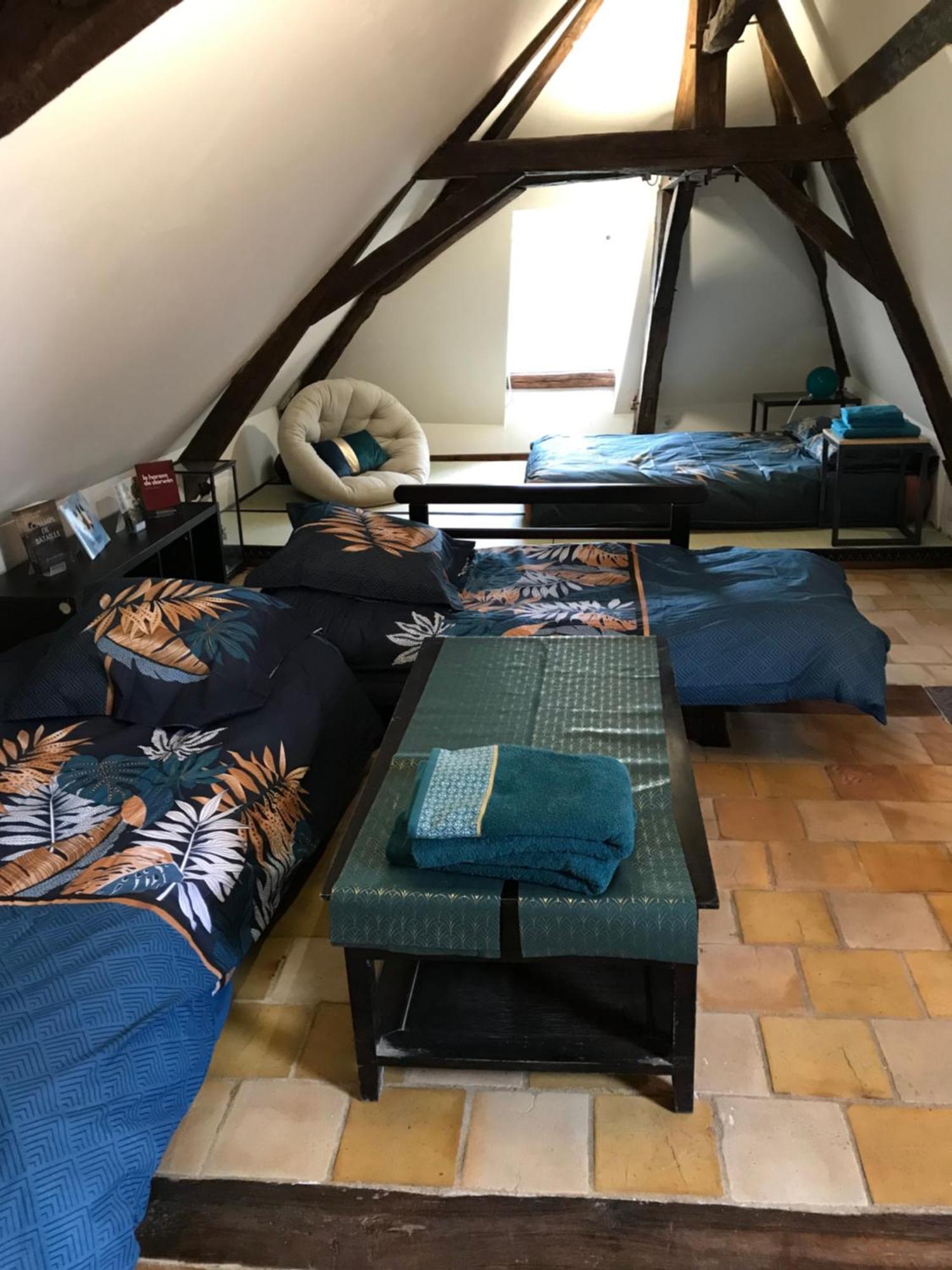 Jacuzzi Et Vue Sur Loire - Maison D'Hotes L'Odyssee La Chapelle-sur-Loire Zimmer foto